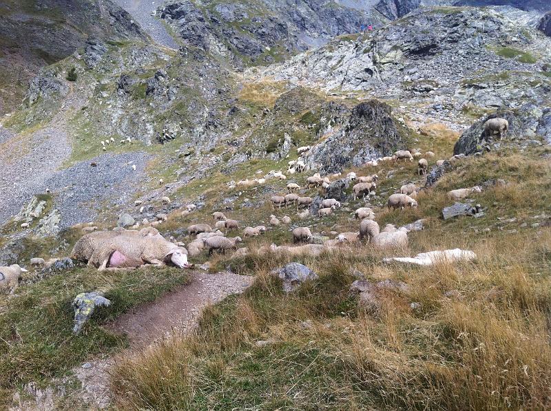 Nicky's photos (27).JPG